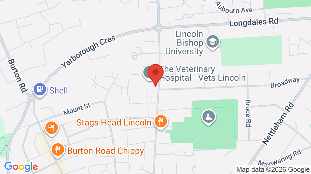 Map showing the location of Faith Williams Law Limited