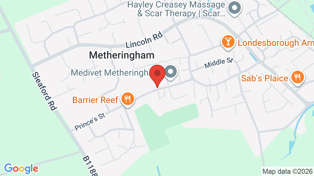 Map showing the location of The Metheringham Primary School